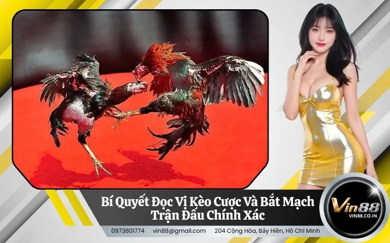 Bí Quyết Đọc Vị Kèo Cược Và Bắt Mạch Trận Đấu Chính Xác