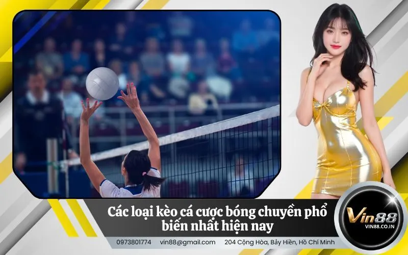 Các loại kèo cá cược bóng chuyền phổ biến nhất hiện nay