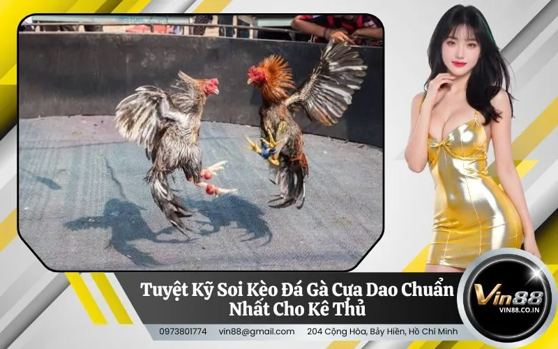 Đá Gà Cựa Dao