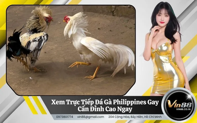 Đá Gà Philippines