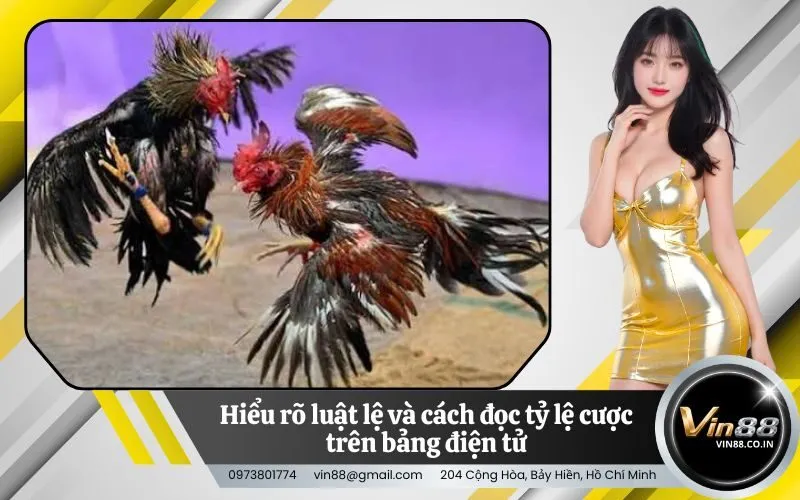 Hiểu rõ luật lệ và cách đọc tỷ lệ cược trên bảng điện tử
