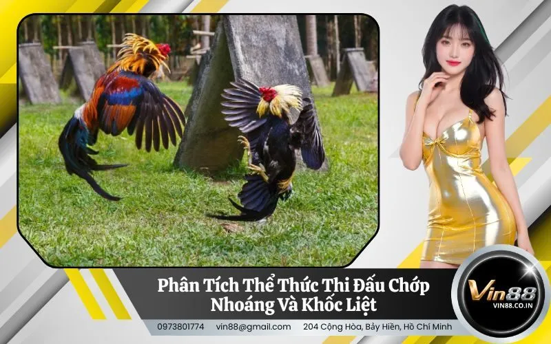 Phân Tích Thể Thức Thi Đấu Chớp Nhoáng Và Khốc Liệt
