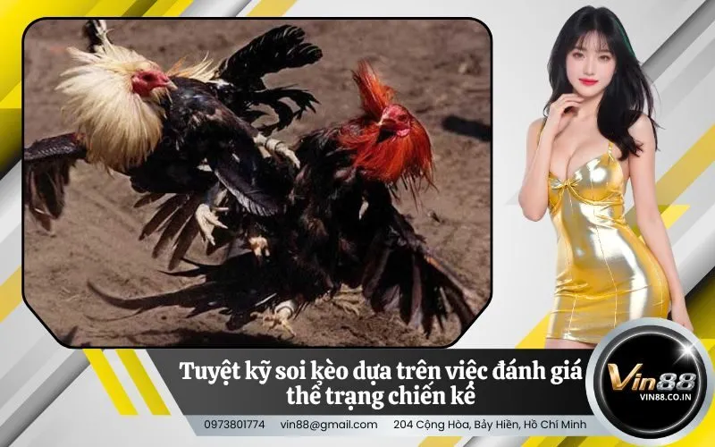 Tuyệt kỹ soi kèo dựa trên việc đánh giá thể trạng chiến kê